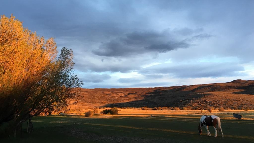 Casa Riera Estancia Santa Thelma B&B 외부 사진
